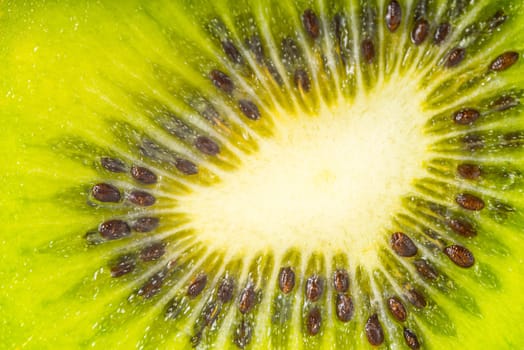 Kiwi background close-up