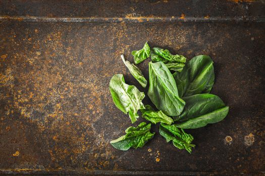 Fresh spinach on the metal rusty background top view