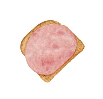 sandwich isolated on white