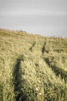 Country road in the hill