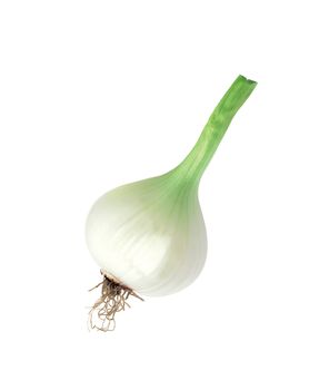 Green Onion