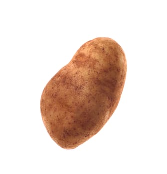 potato isolated on white background close up