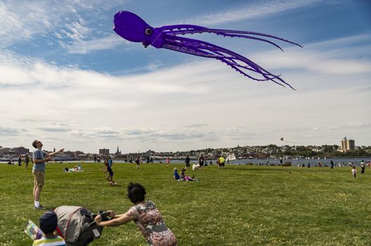 people playing with kites in a park