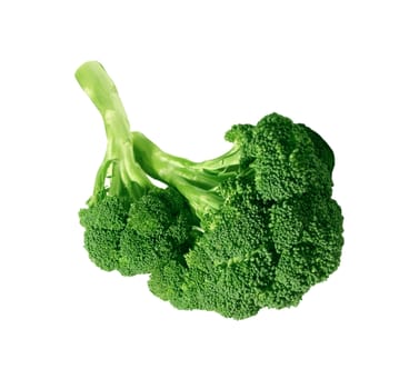 Fresh broccoli, isolated on white