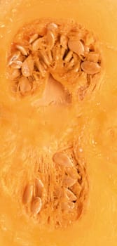 Orange pumpkin on white background
