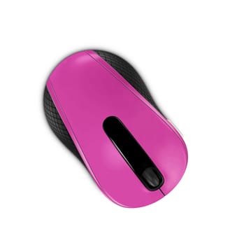 pink computer mouse isolated on white background