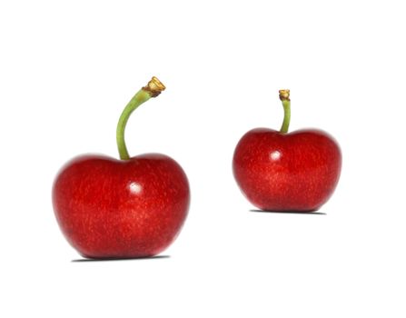 ripe, juicy cherries
