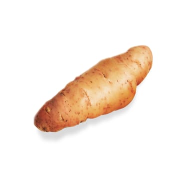 potato isolated on white background close up