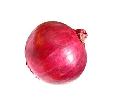 red onion isolated