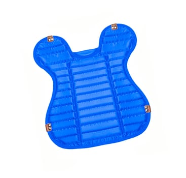 Blue Shield