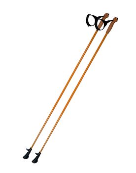 walking sticks under thew white background