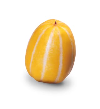 melon isolated