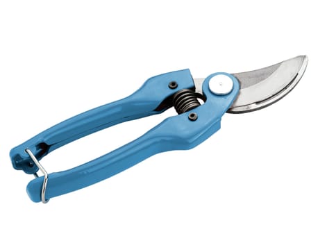 blue garden pruner on the white