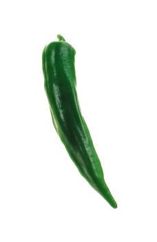 One chili pepper, green on white background