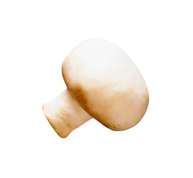 Champignon