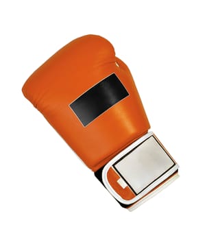 glove box