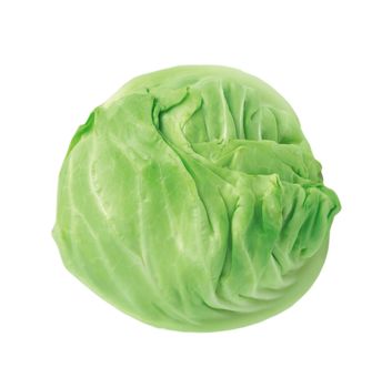 Fresh green cabbage vegetable