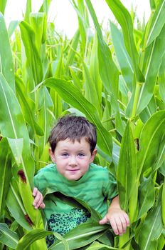 Small boy hiding in a field of corn with a mischievious smile on his face.
