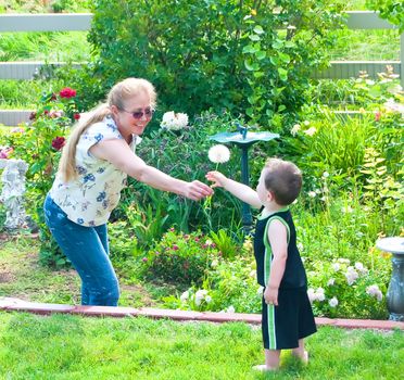 Grandma hands a dandelion seed to her grandson so he can blow on it.