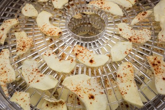 Chopped apples with cinnamon on dehydrator tray