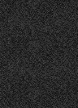 black leather background