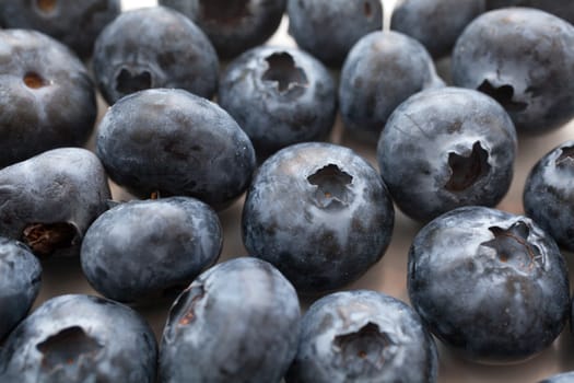 Fresh blueberry on white background