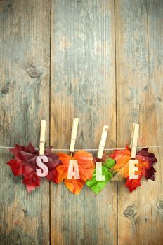 Autumn sales leaves hanging on a clothes line with pegs against a wooden background