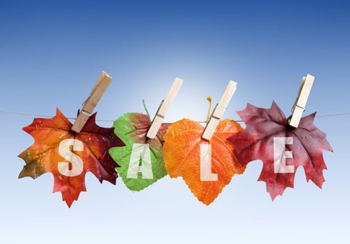 Autumn sales leaves hanging on a clothes line against a blue siky 