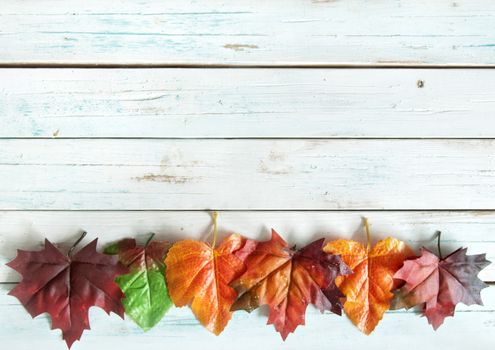 Autumn maple leaves over a wooden background with space