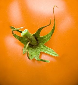 Yellow tomatoe texture