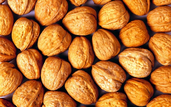 Background of ripe brown hazelnuts