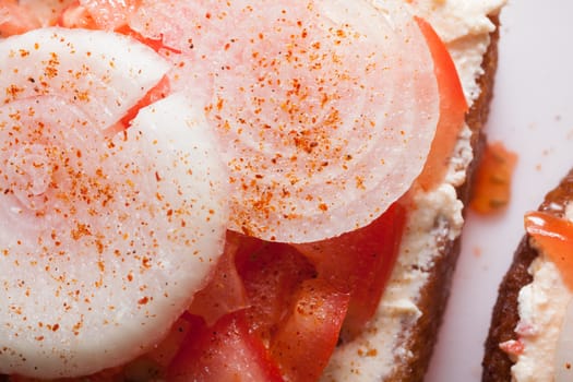 Bread tomatoes and onion top view on food