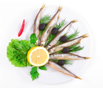 anchovies on white background