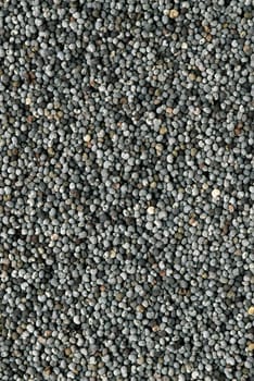 Poppy seeds