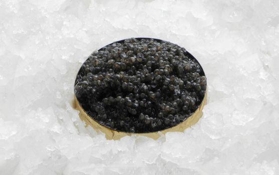 Black caviar in a bowl