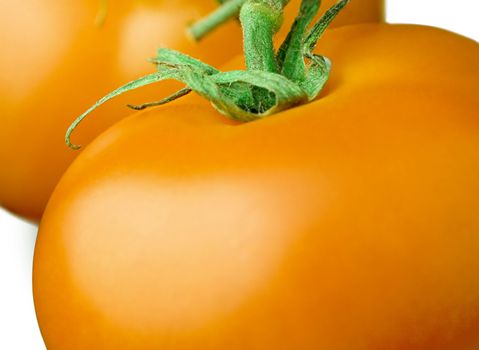 perfect fresh yellow tomatoes