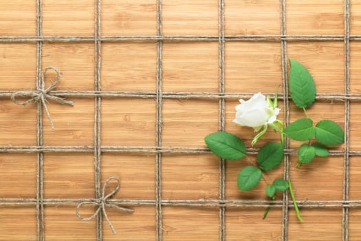 Square lined rope pattern on a wooden background and white rose with leaves interwoven between it. Texture for nature themes