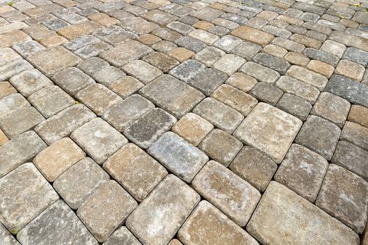 Brick Paver Patio in Garden Backyard Hardscape Closeup Background