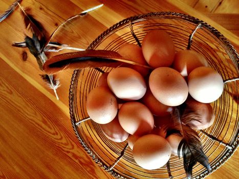 eggs in the backet, shoot taken from above