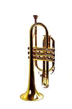 Brass trumpet isolated