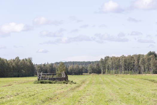 Run Down Barn in Cultivated Field.