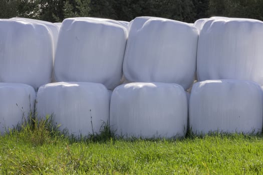 Silage Balls Close Up with trees in the background.