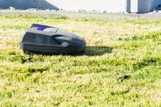Lawnmower robot, automatic lawn mower that mows the lawn in a garden