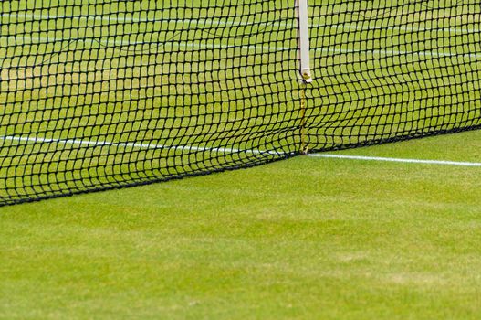 Detail of a lawn tennis court
