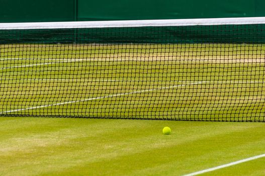 Tennis ball on a lawn tennis court