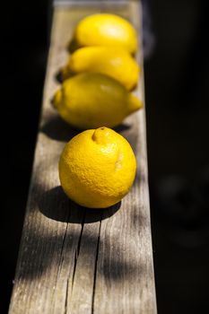 Four Lemons fruits line over a wood  terracce in a sunny day