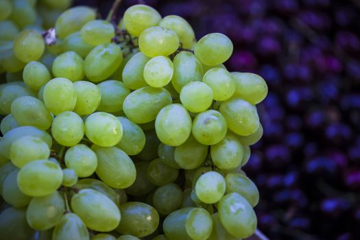 Green grapes background at french market in summertime