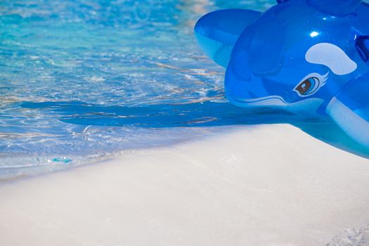 An inflatable blue whale toy in a swimming pool