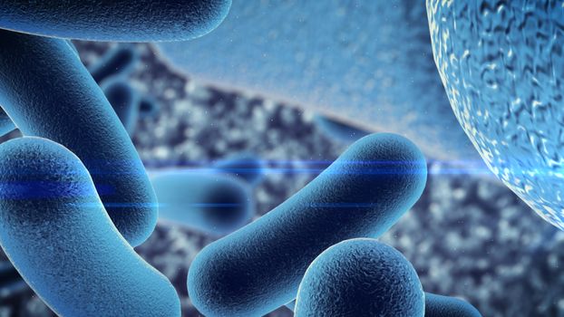 3D rendering of Bacterial infection under microscope