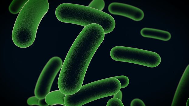 3D rendering of bacteria cells